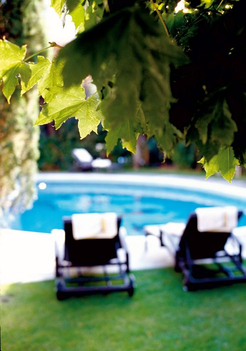 Grüne Blätter im Vordergrund, dahinter zwei Liegestühle mit weißen Handtüchern am Rand eines Schwimmbeckens im Garten.
