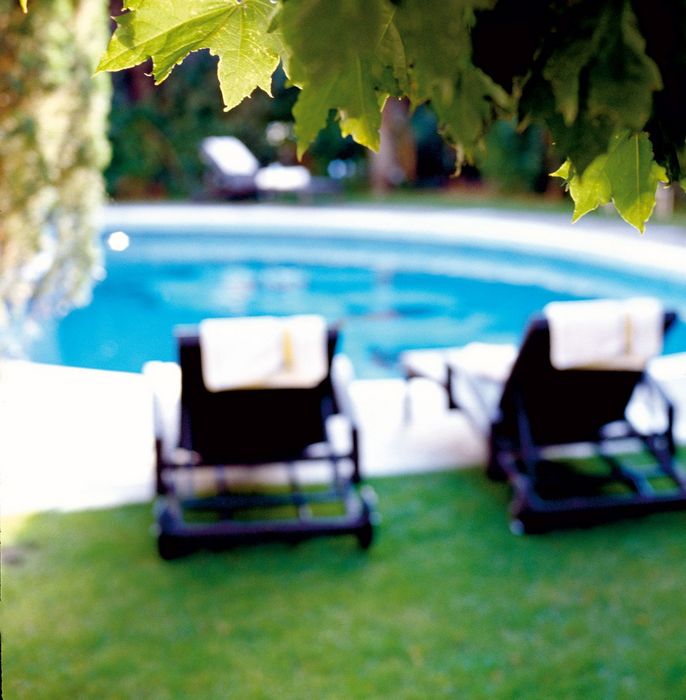 Green leaves in the foreground with blurred lounge chairs and a swimming pool in the background