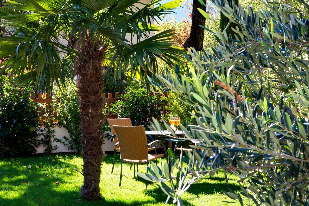 Sonniger Garten mit Palmen, zwei Stühlen und einem Tisch mit zwei Gläsern Getränke.