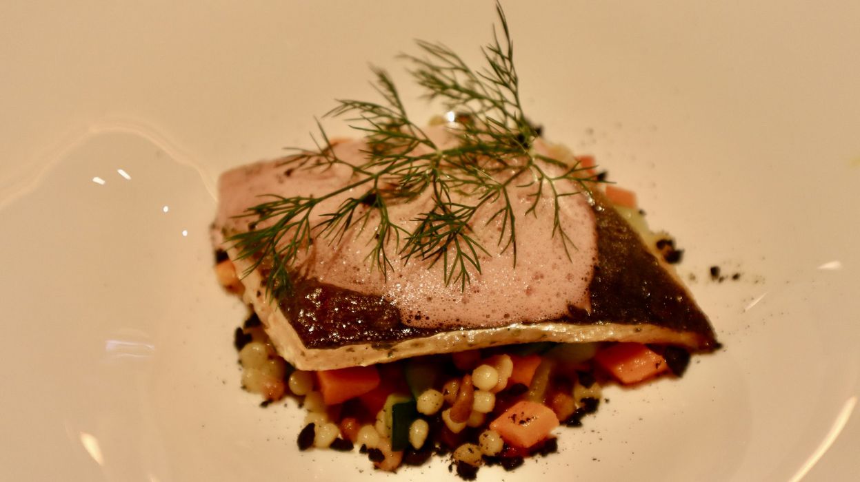 Gourmetgericht mit gebratenem Fischfilet, Gemüse und einer Schaumsoße garniert mit frischem Dill