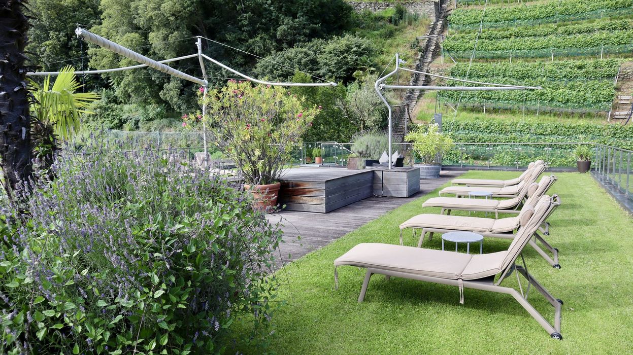 Liegestühle mit Polstern auf einer grünen Wiese neben einer Terrasse mit Pflanzen und einem hölzernen Hochbett in einem Garten mit Weinreben im Hintergrund.