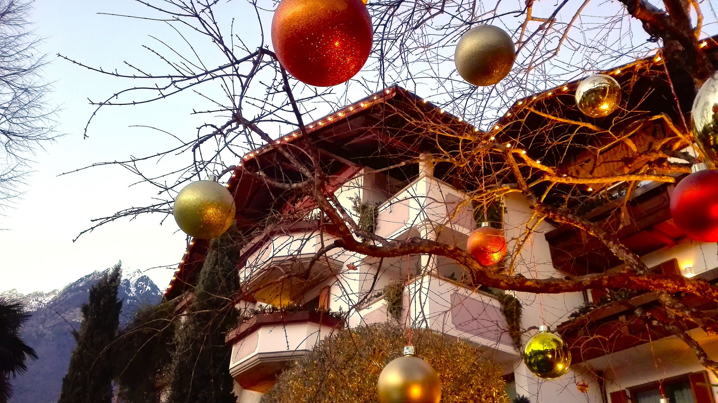 [Translate to englisch:] 