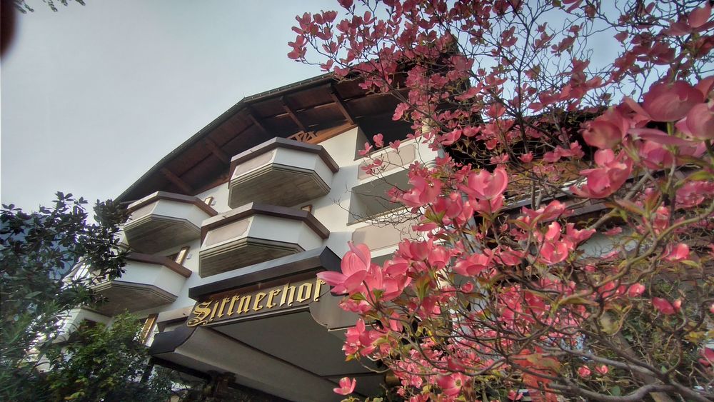 Risveglio di primavera 